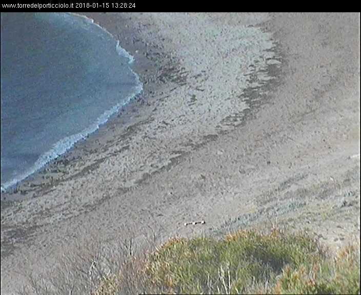 immagine della webcam nei dintorni di Maristella: webcam Alghero